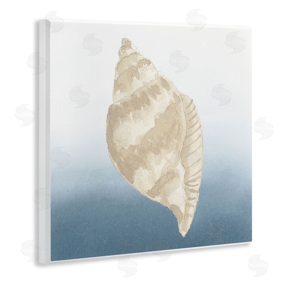 Lucille Price Casual Conch Nautical Life Wooden Wall Plaque Art Print
