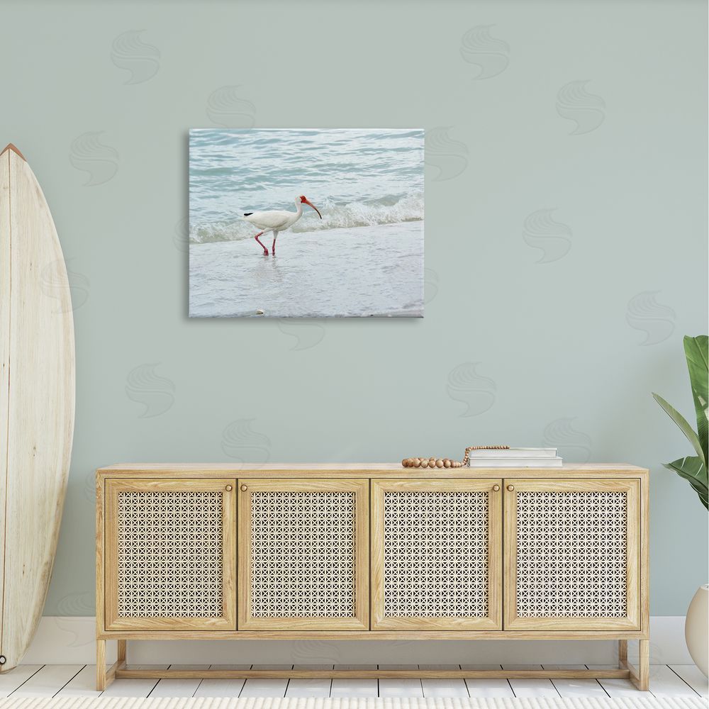 Jairo Rodriguez Bird Stepping Sea Waves Splash