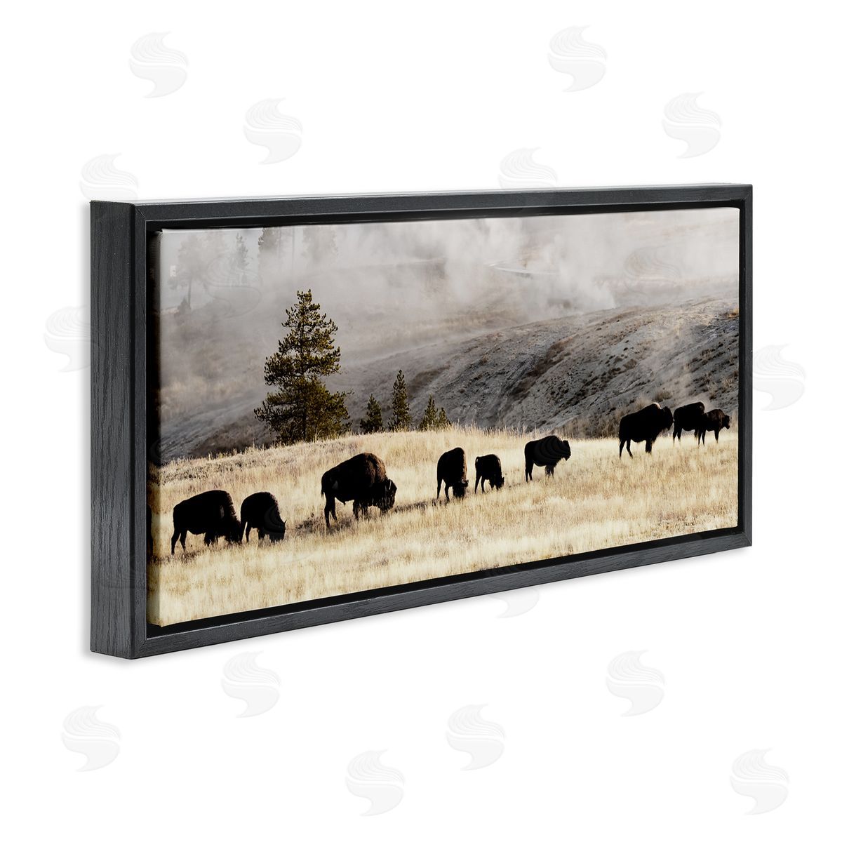 Grazing Bison Foggy Countryside Black Floating Frame Canvas Wall Art, Home Decor by Danita Delimont