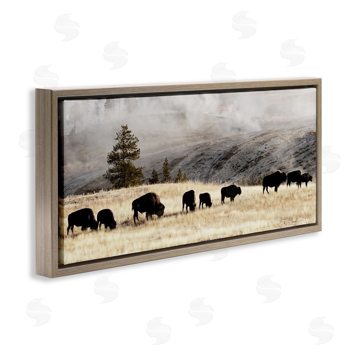 Grazing Bison Foggy Countryside Brown Floating Frame Canvas Wall Art, Home Decor by Danita Delimont