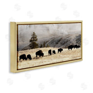 Danita Delimont | Grazing Bison Foggy Countryside