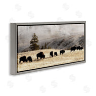Danita Delimont | Grazing Bison Foggy Countryside