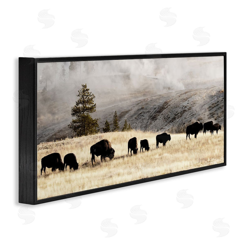 Danita Delimont | Grazing Bison Foggy Countryside