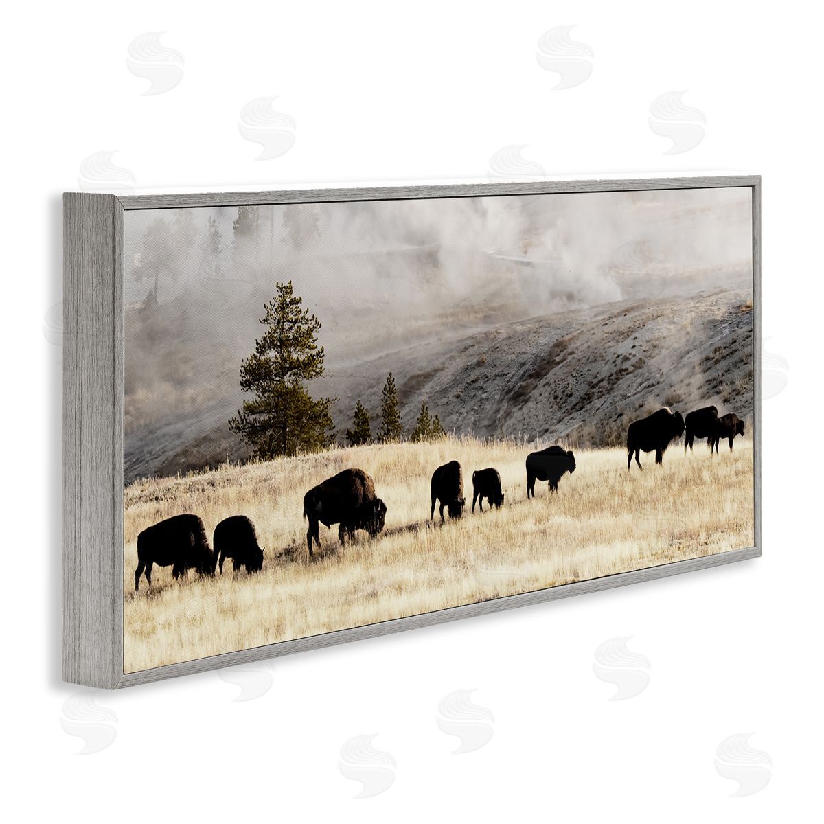 Grazing Bison Foggy Countryside Grey Frame Print Wall Art, Home Decor by Danita Delimont
