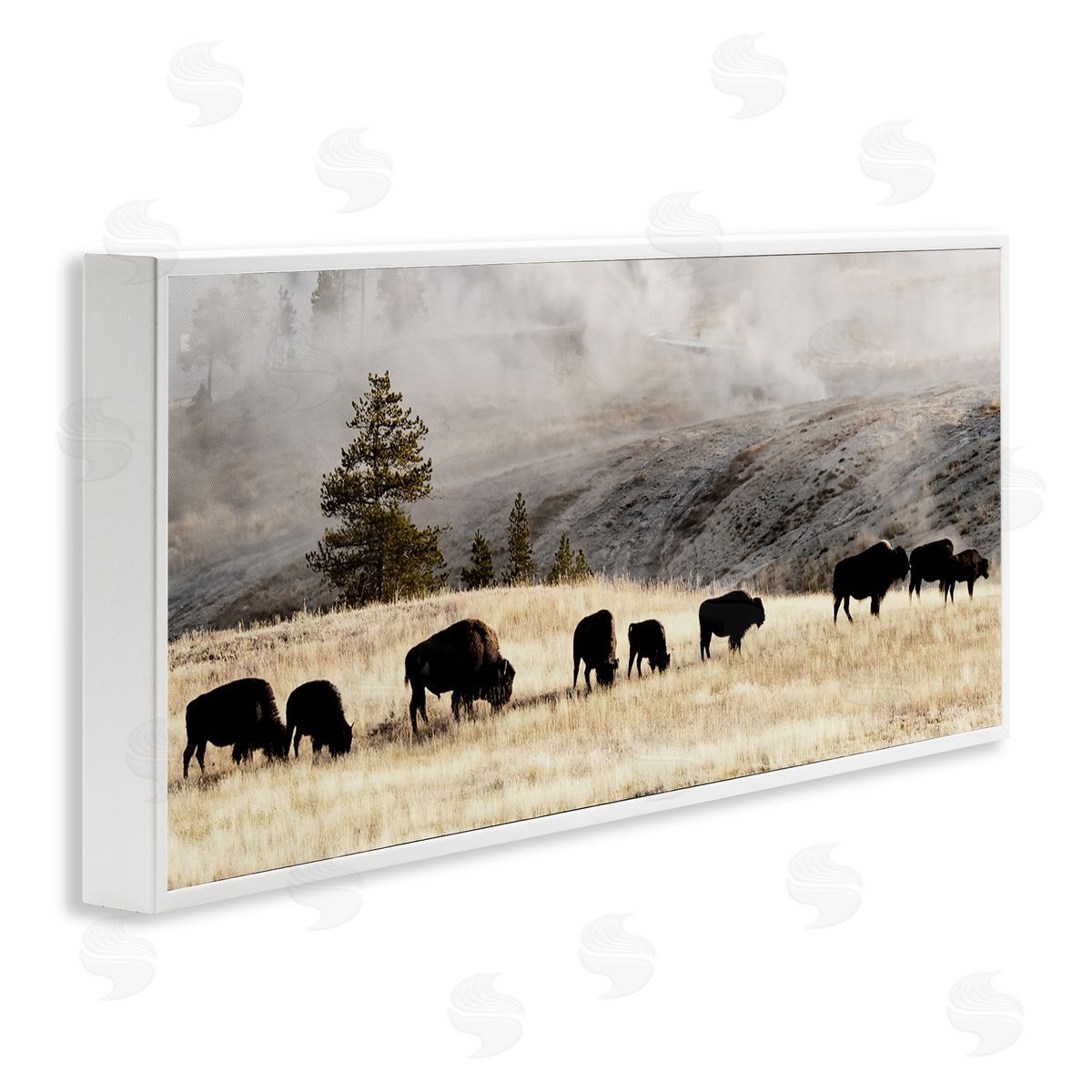 Grazing Bison Foggy Countryside White Frame Print Wall Art, Home Decor by Danita Delimont