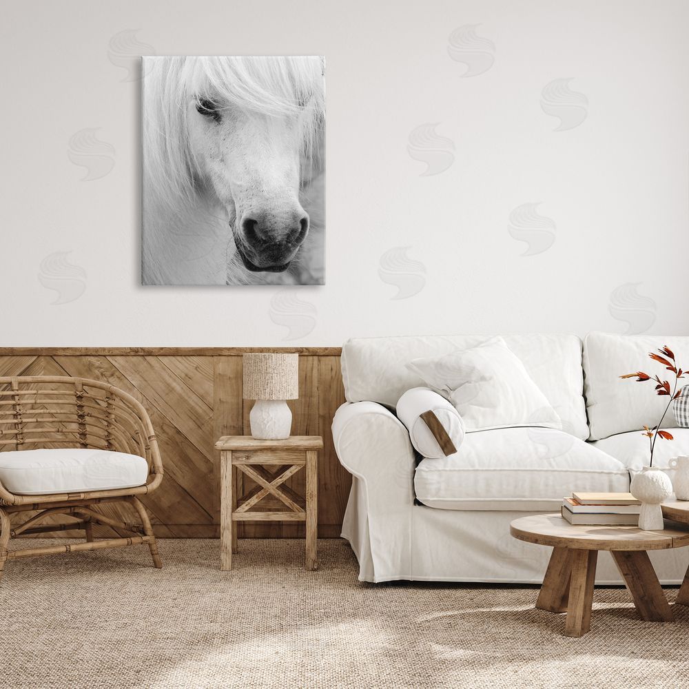 Danita Delimont Elegant White Horse Stallion