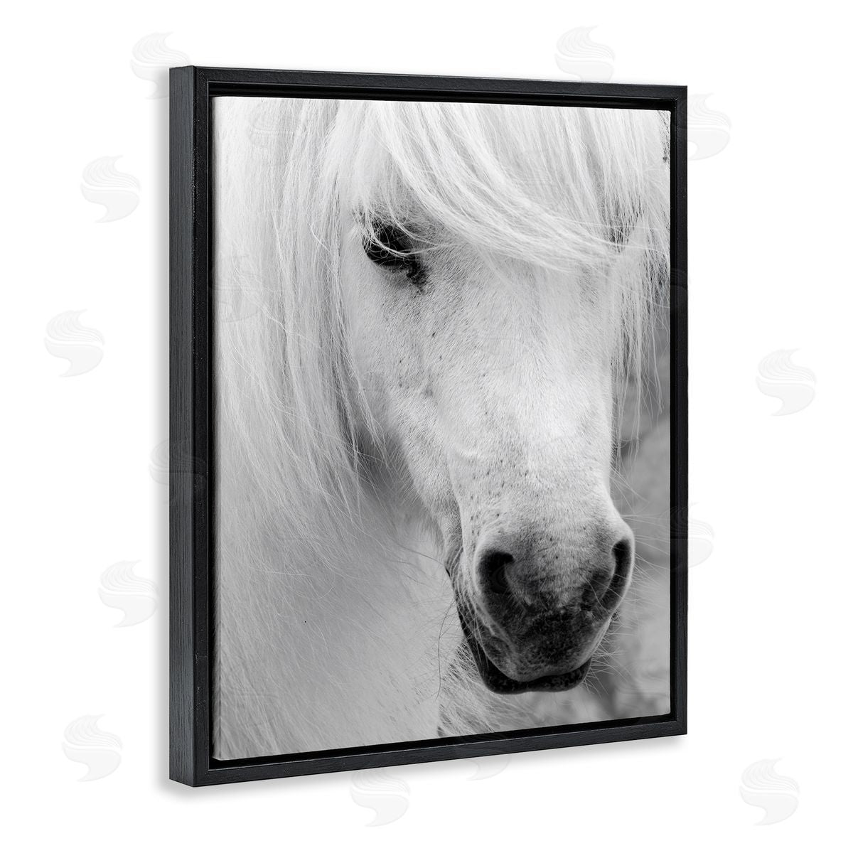 Danita Delimont Elegant White Horse Stallion