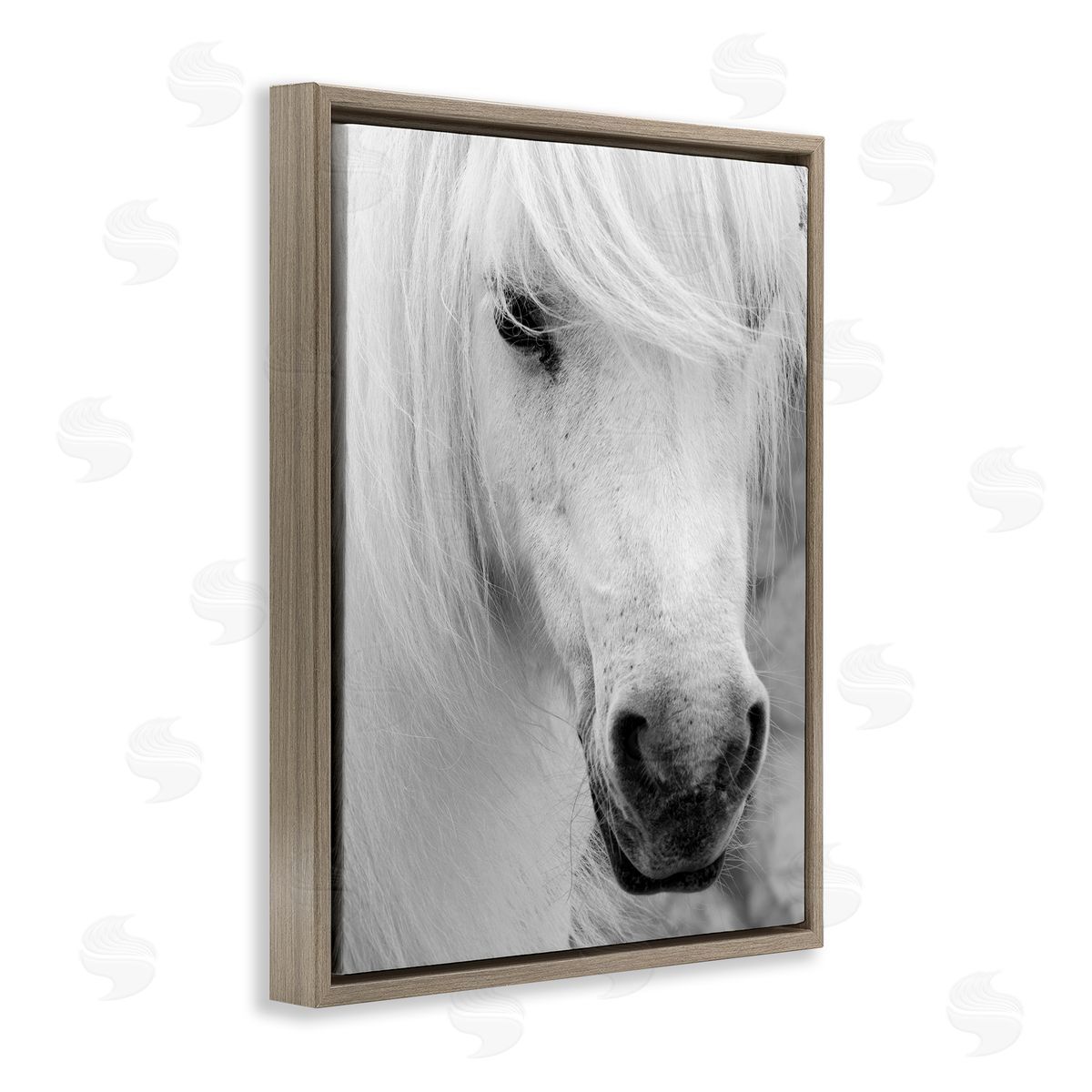 Danita Delimont Elegant White Horse Stallion