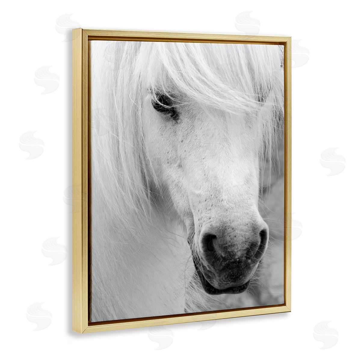 Danita Delimont Elegant White Horse Stallion