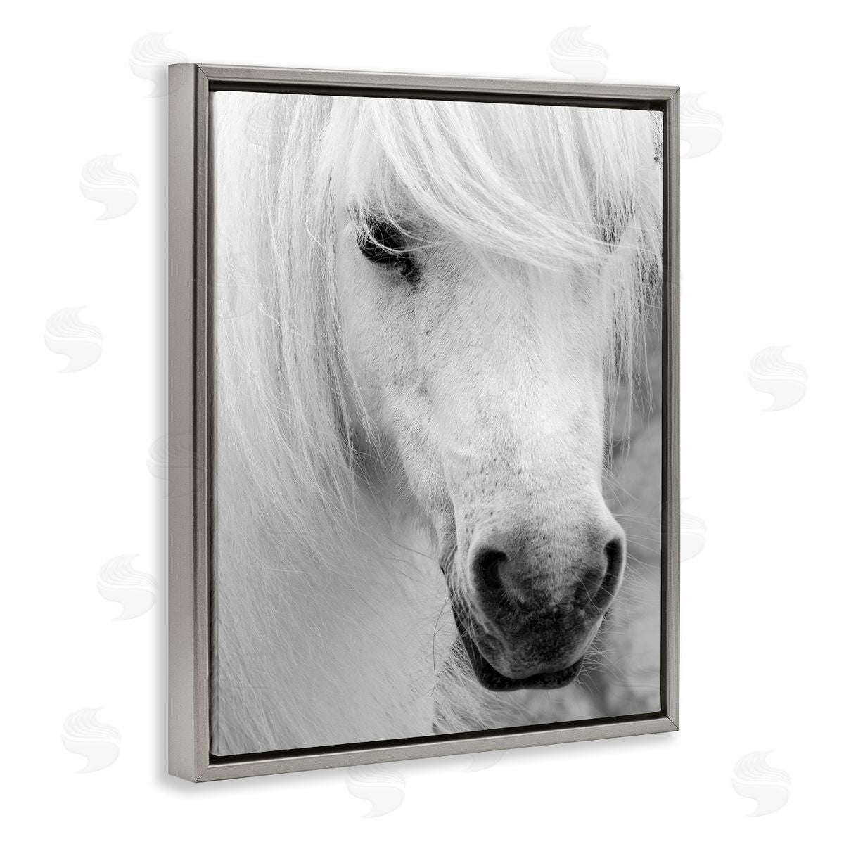 Danita Delimont Elegant White Horse Stallion