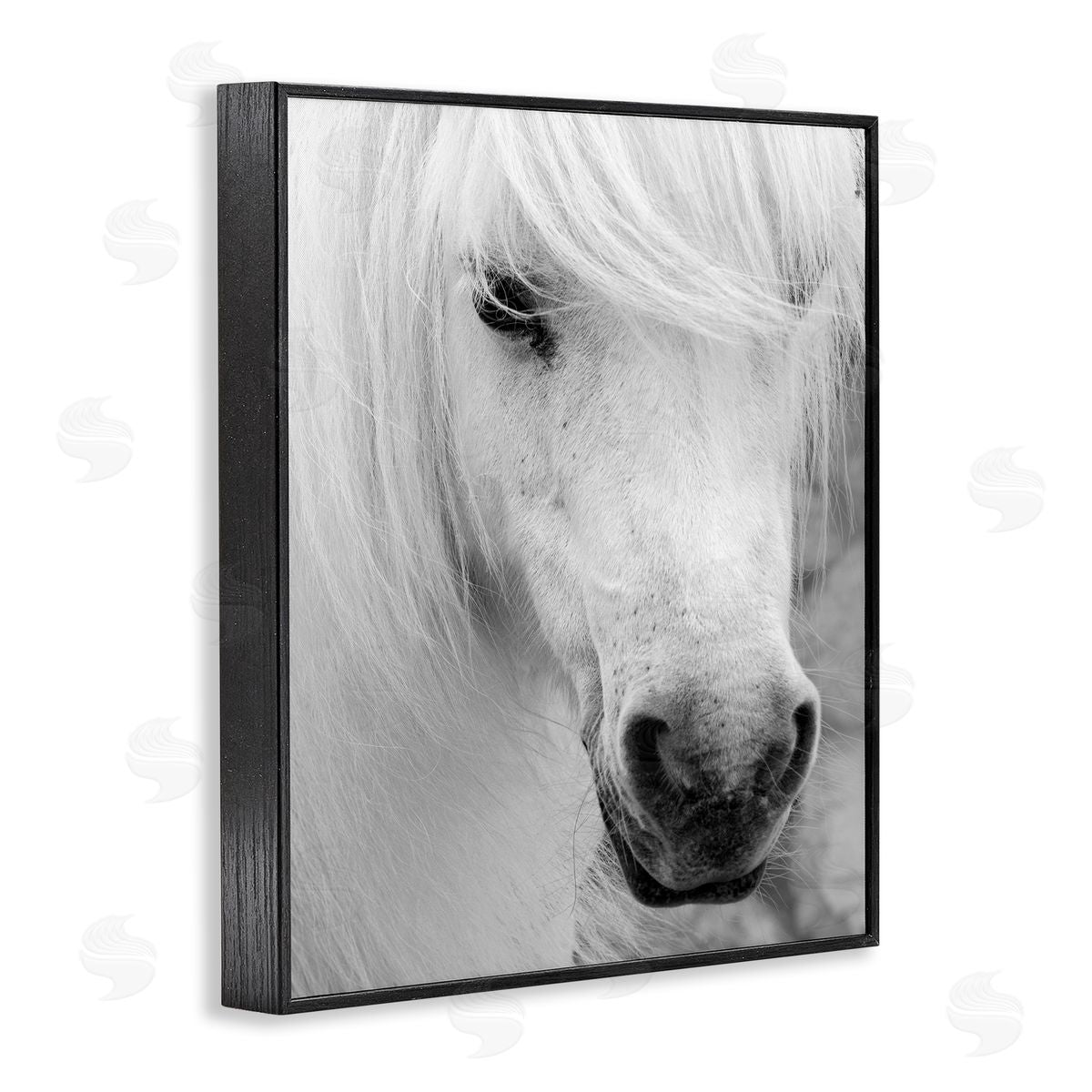 Danita Delimont Elegant White Horse Stallion