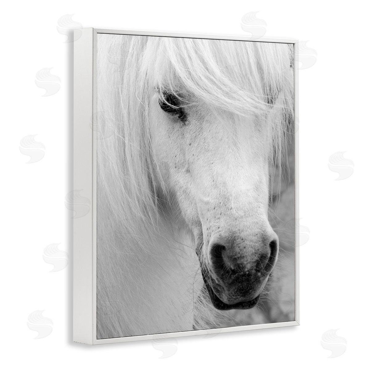 Danita Delimont Elegant White Horse Stallion