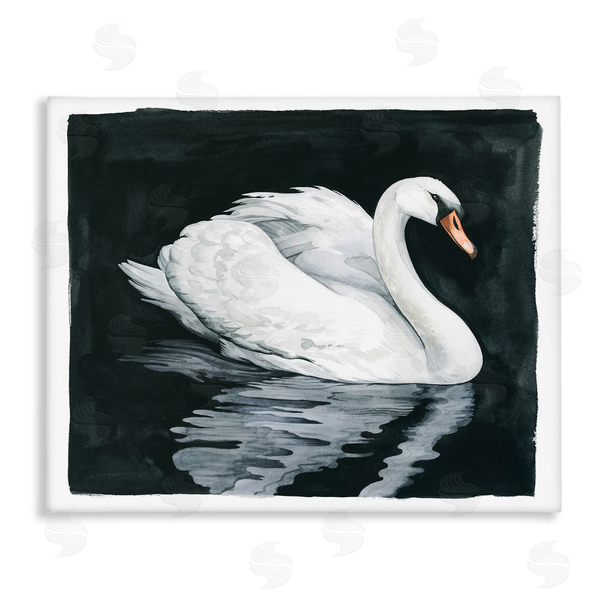 Grace Popp Elegant Swan Reflection Portrait
