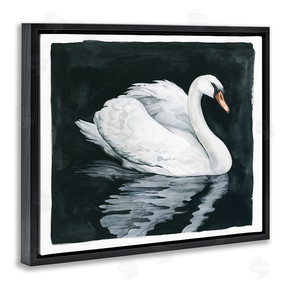 Grace Popp Elegant Swan Reflection Portrait