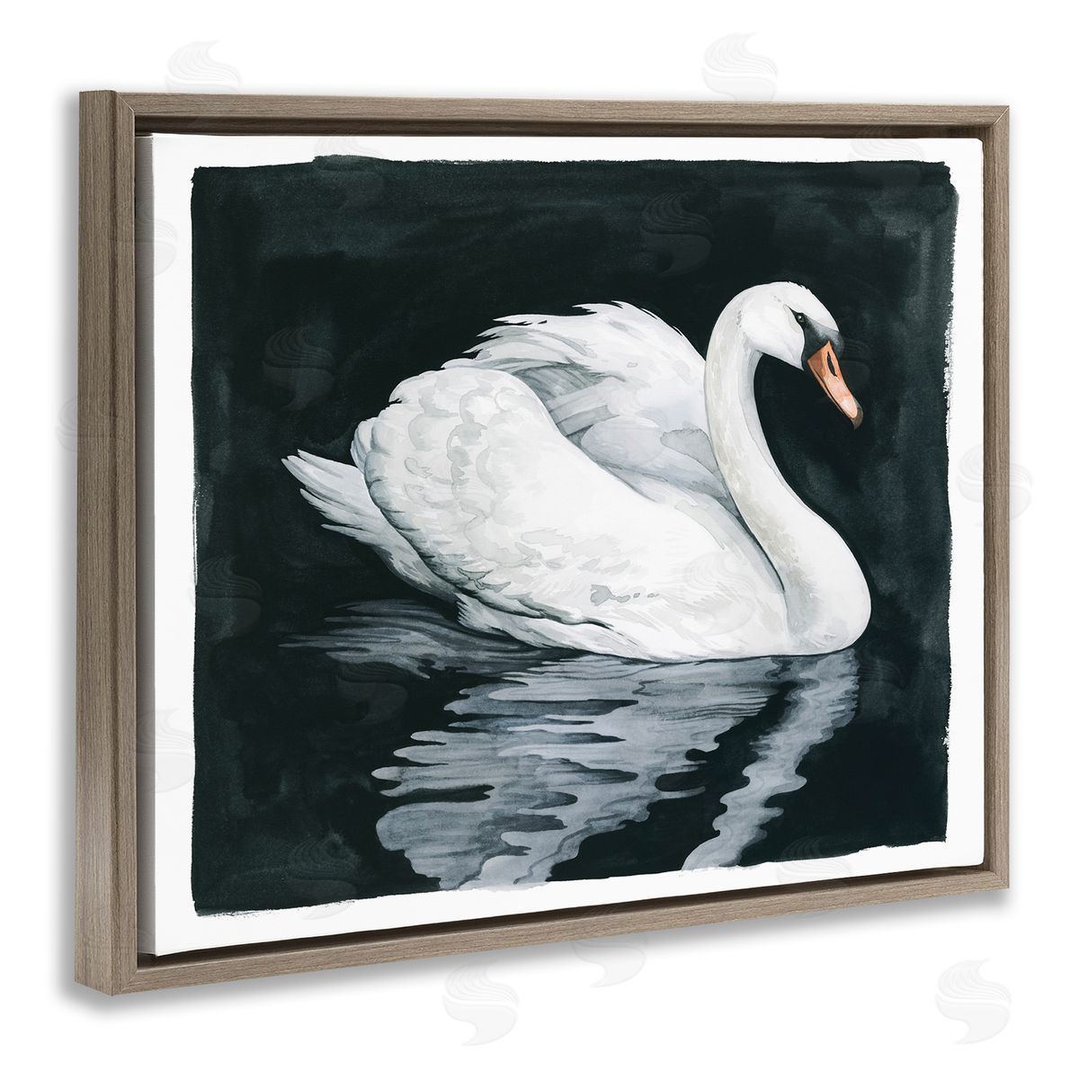 Grace Popp Elegant Swan Reflection Portrait