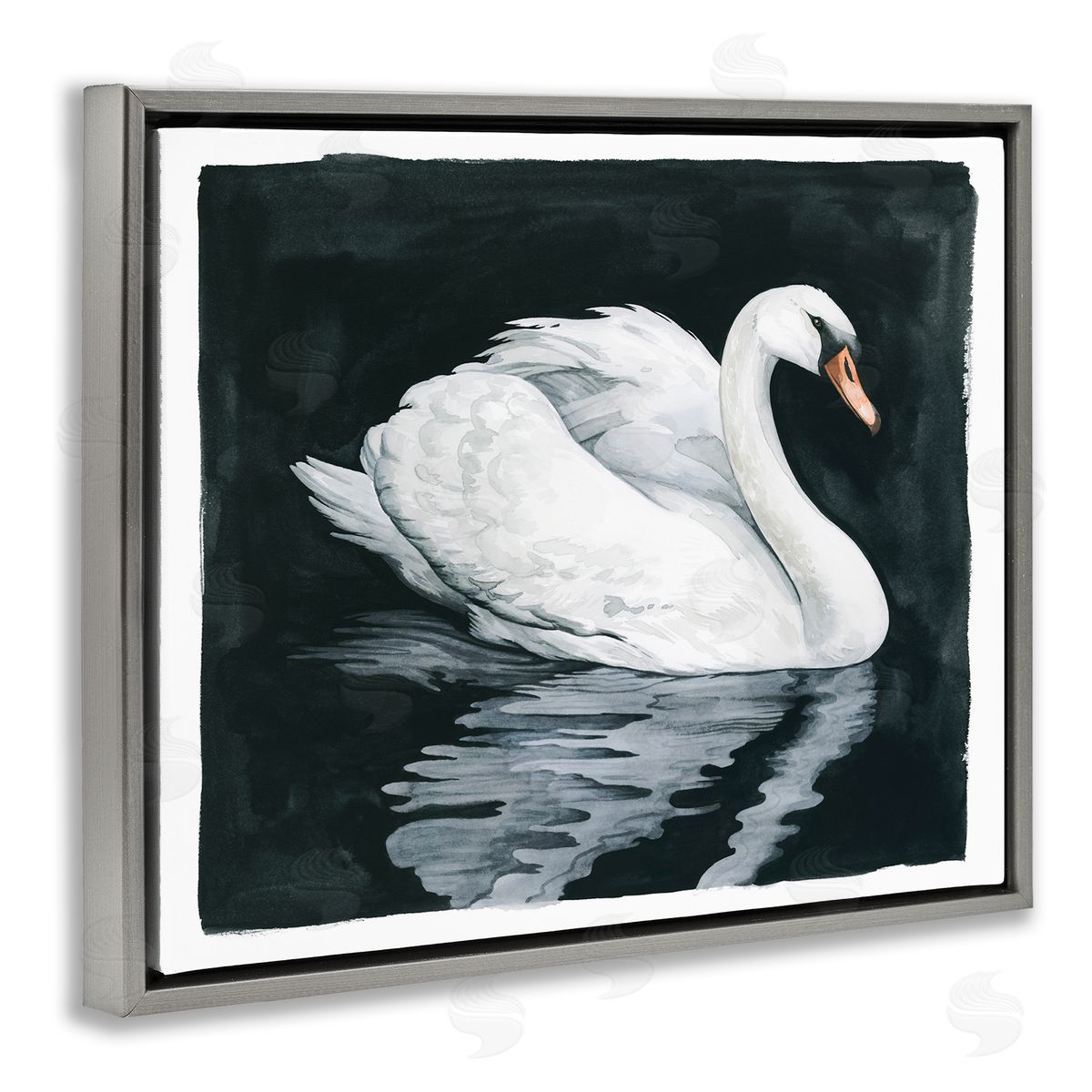 Grace Popp Elegant Swan Reflection Portrait