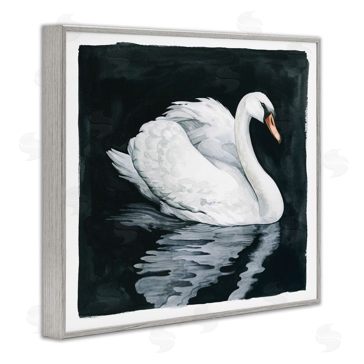 Grace Popp Elegant Swan Reflection Portrait