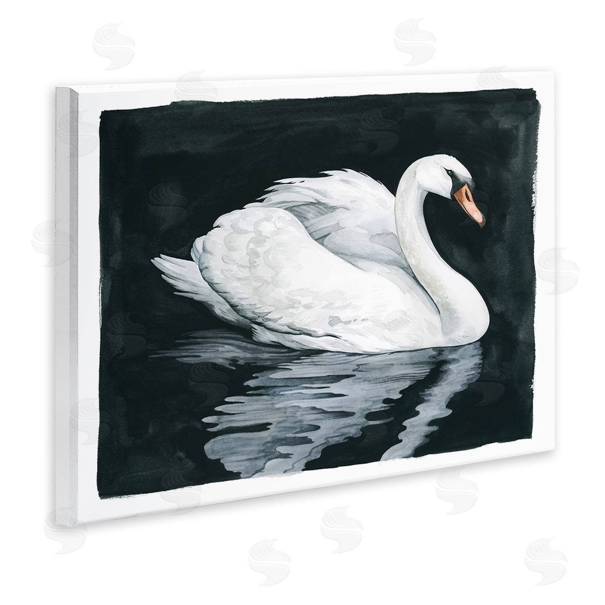 Grace Popp Elegant Swan Reflection Portrait
