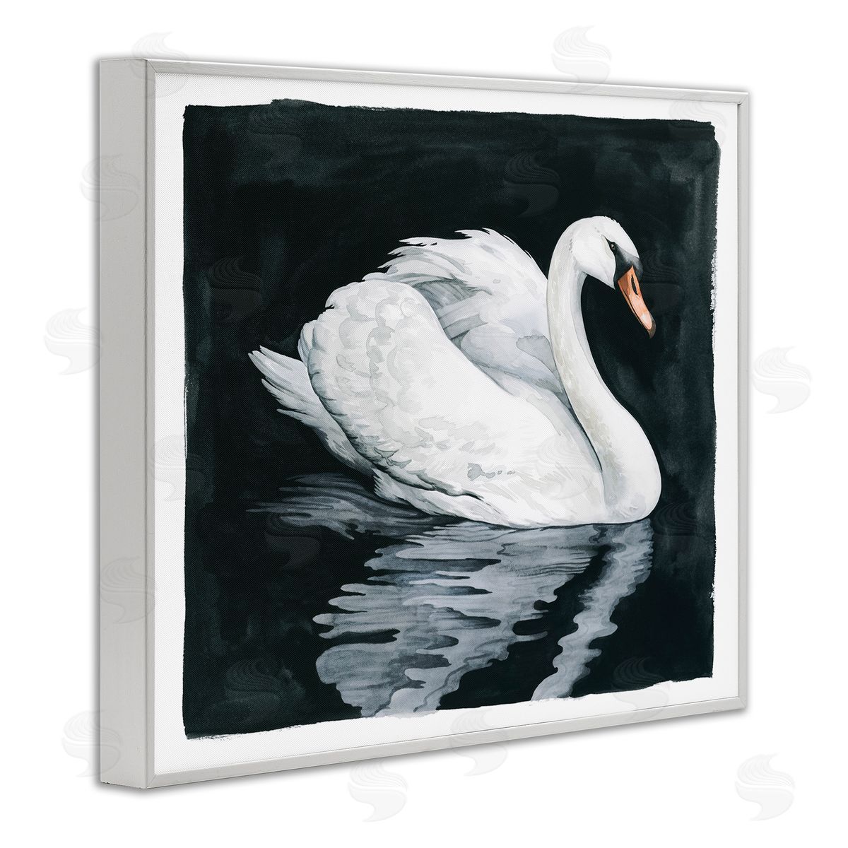 Grace Popp Elegant Swan Reflection Portrait