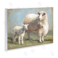 Sara Baker | Sheep & Lamb Family Farm