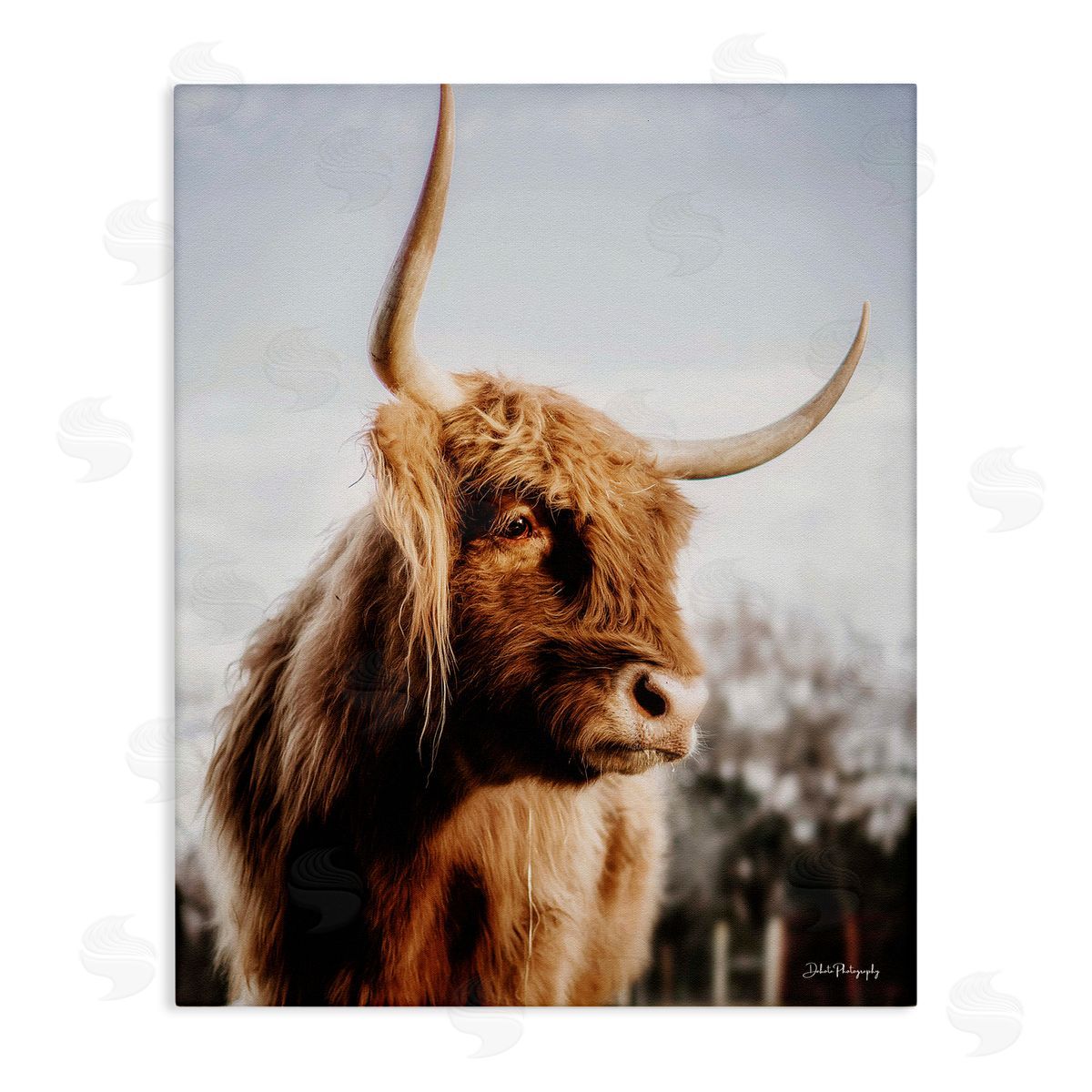Dakota Diener Cattle Gazing Rural Landscape
