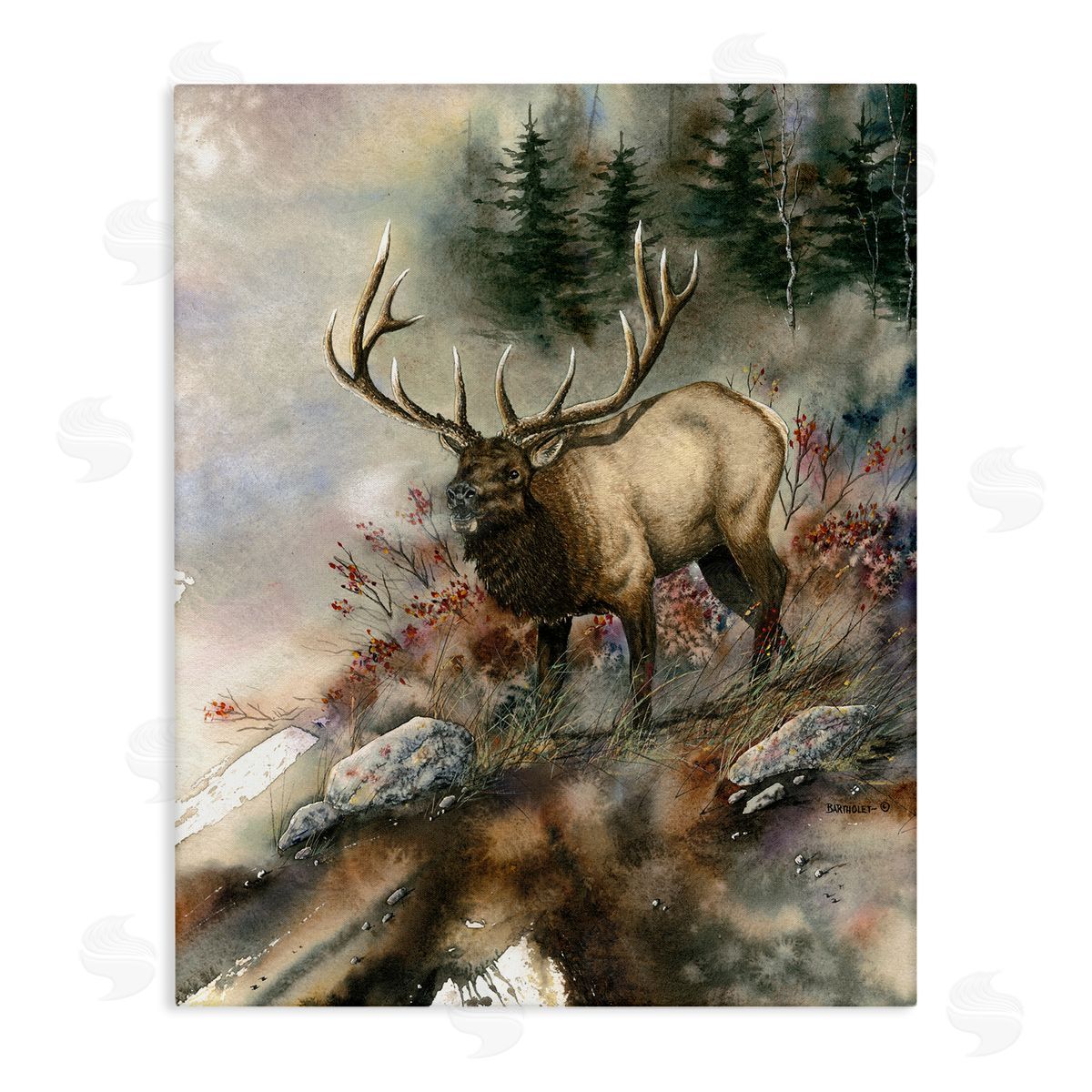 Dave Bartholet Elk Woodland Slope Clearing
