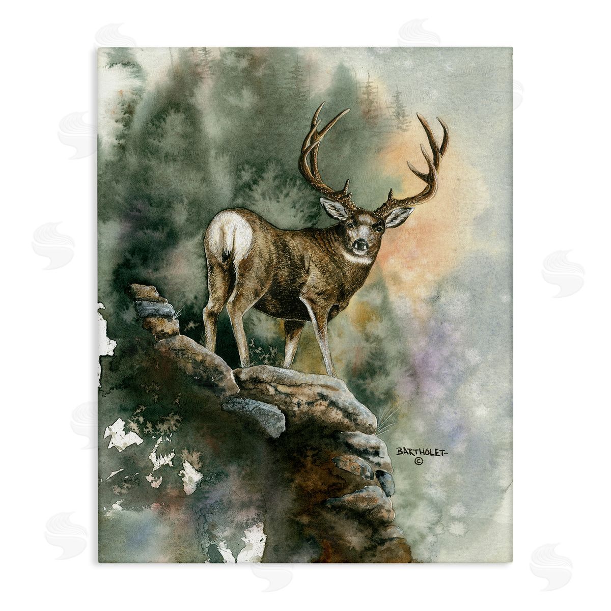 Dave Bartholet Deer Rocky Woodland Cliff