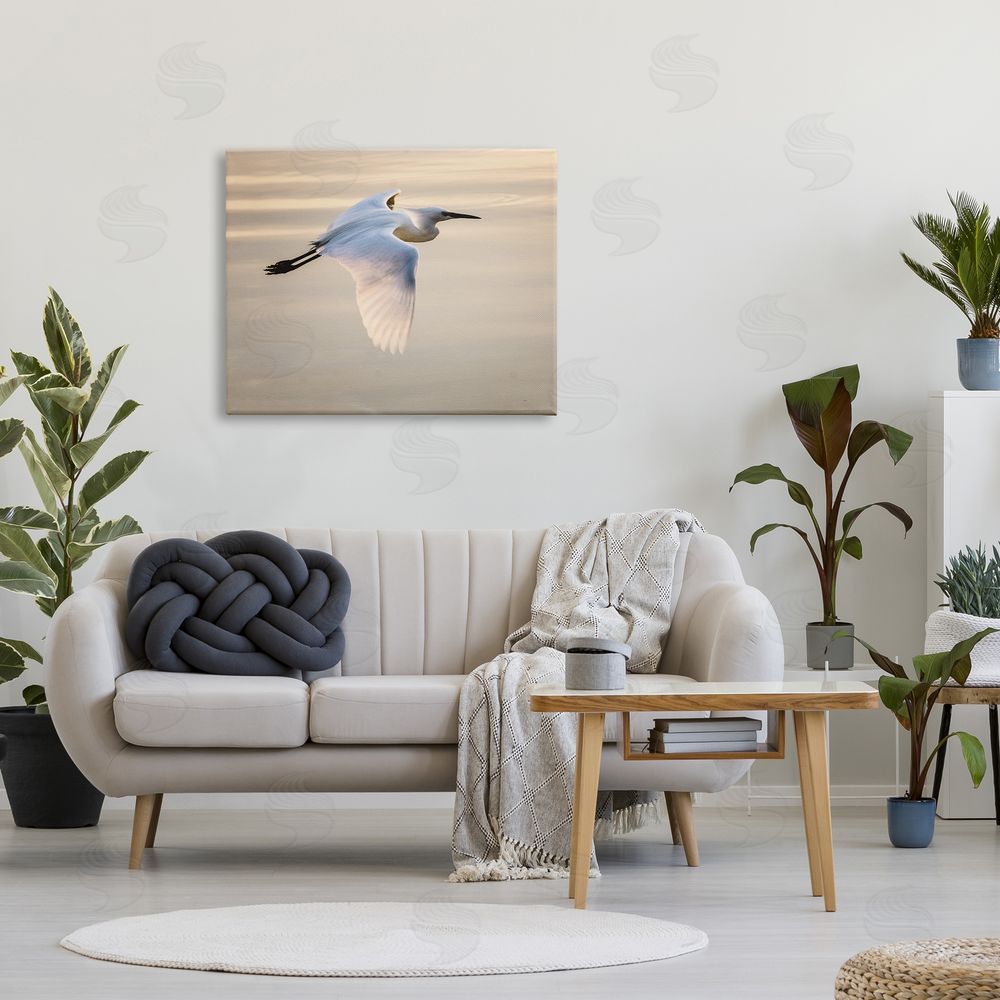 David Lorenz Egret Gliding Aerial View