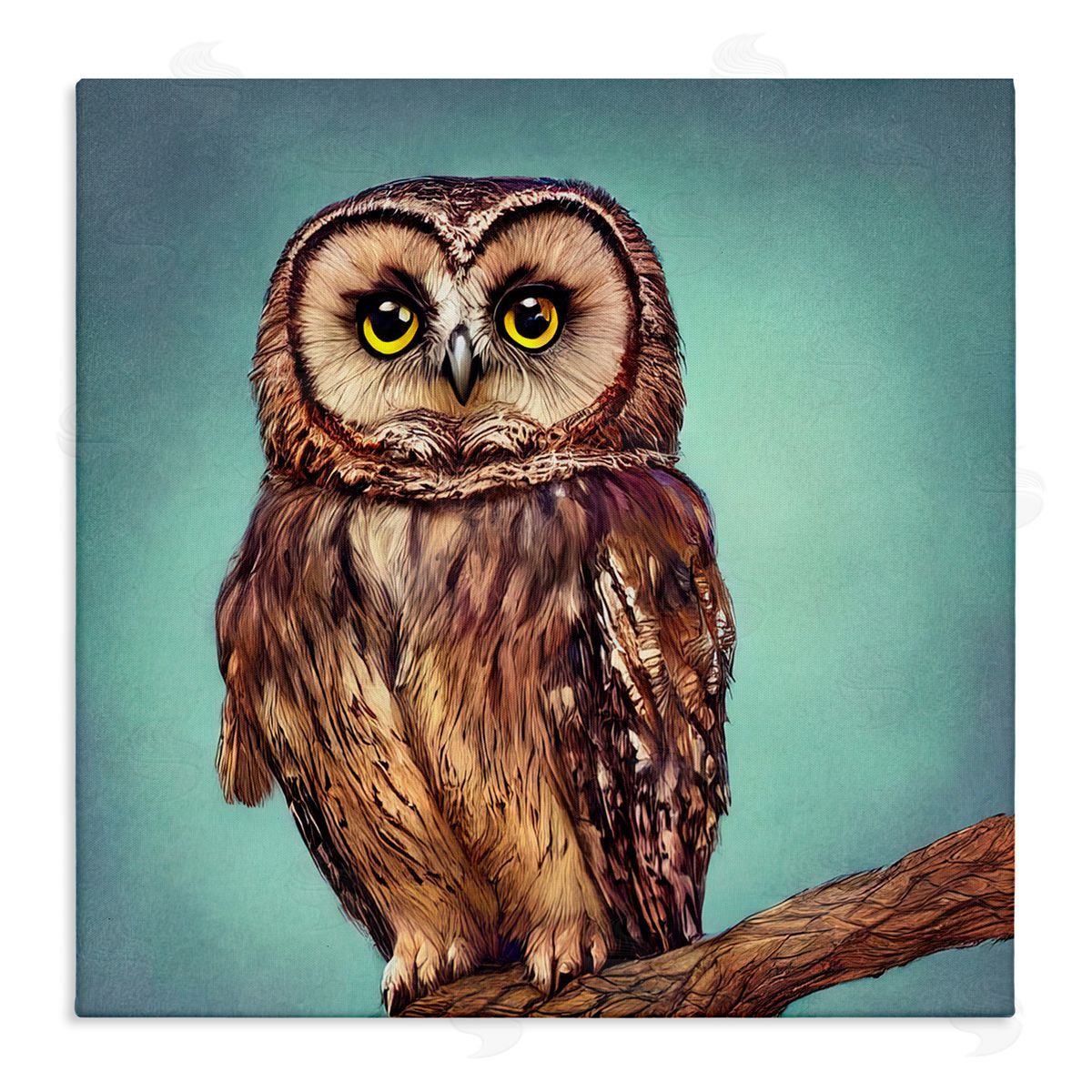 Alpenglow Workshop Beautiful Owl Wildlife Portrait Stretched Canvas Wall Art Print