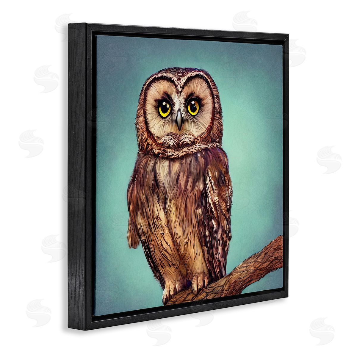 Alpenglow Workshop Beautiful Owl Wildlife Portrait Black Floating Frame Canvas Wall Art Print