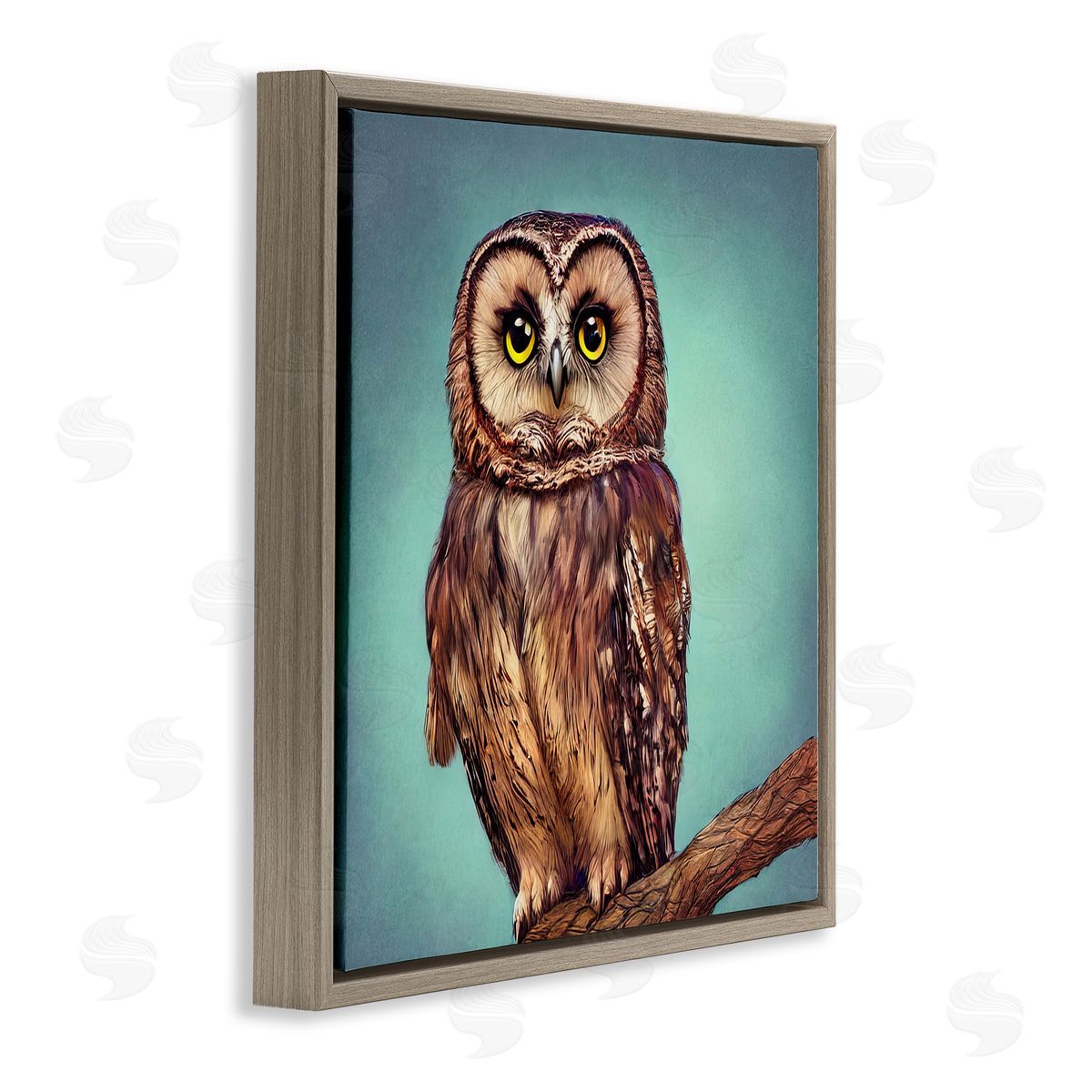 Alpenglow Workshop Beautiful Owl Wildlife Portrait Brown Floating Frame Canvas Wall Art Print