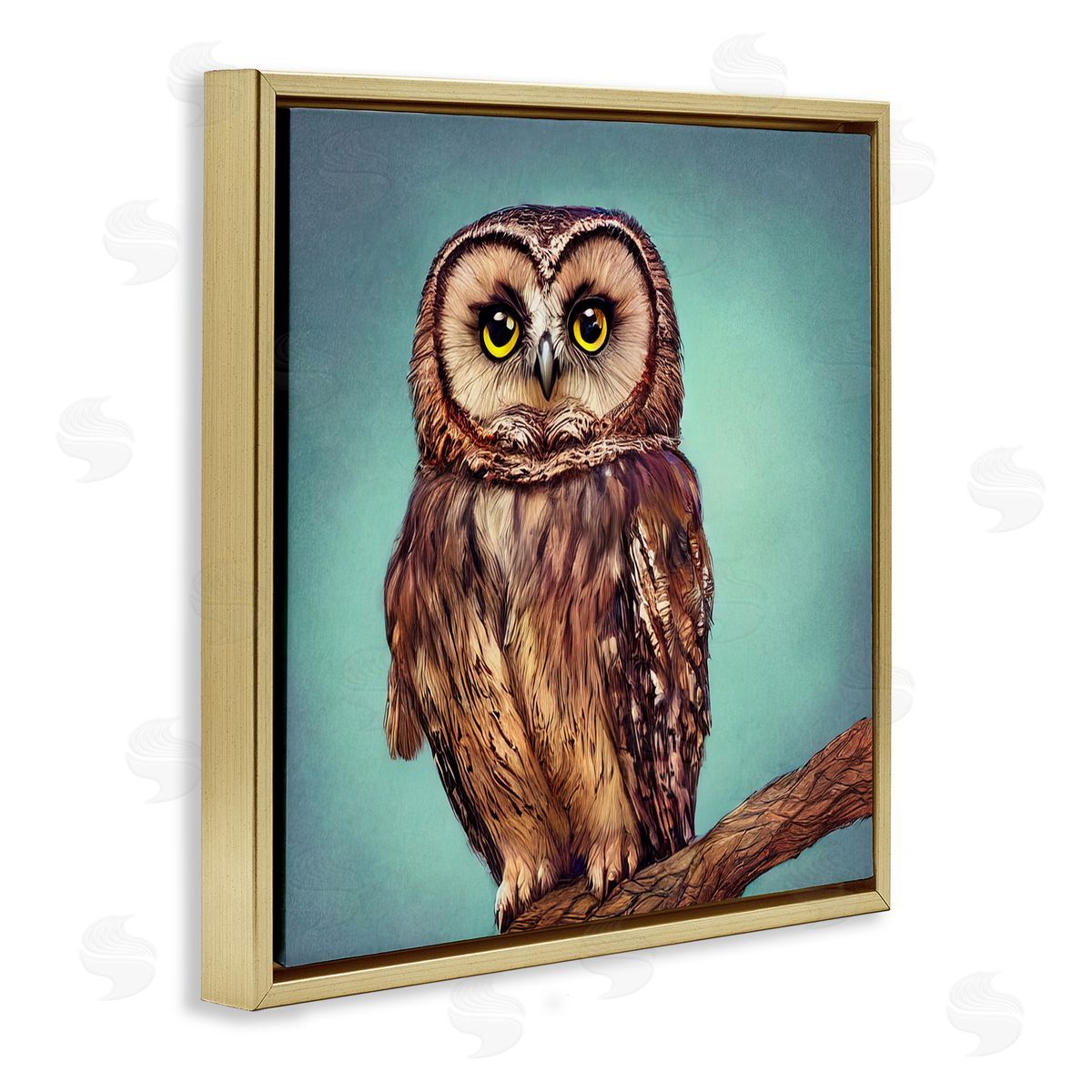 Alpenglow Workshop Beautiful Owl Wildlife Portrait Gold Floating Frame Canvas Wall Art Print