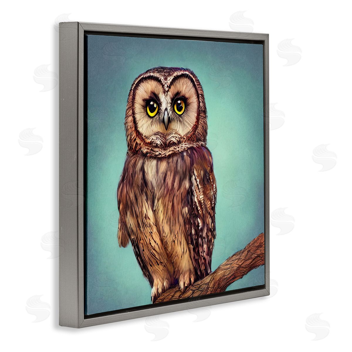 Alpenglow Workshop Beautiful Owl Wildlife Portrait Gray Floating Frame Canvas Wall Art Print