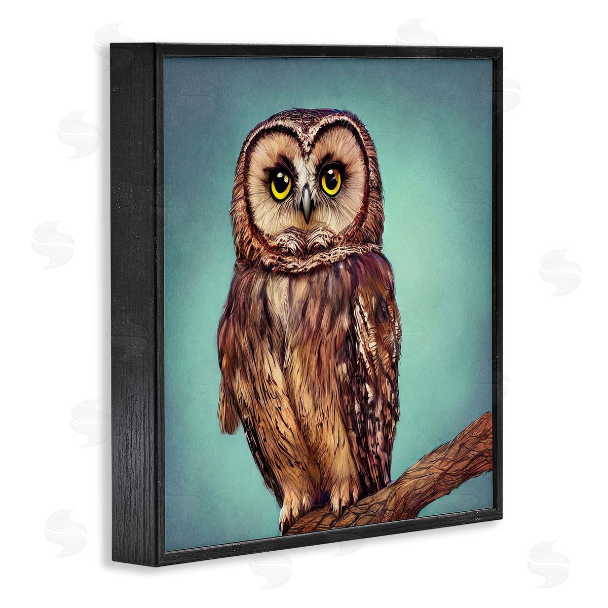 Alpenglow Workshop Beautiful Owl Wildlife Portrait Black Framed Glicee Wall Art Print