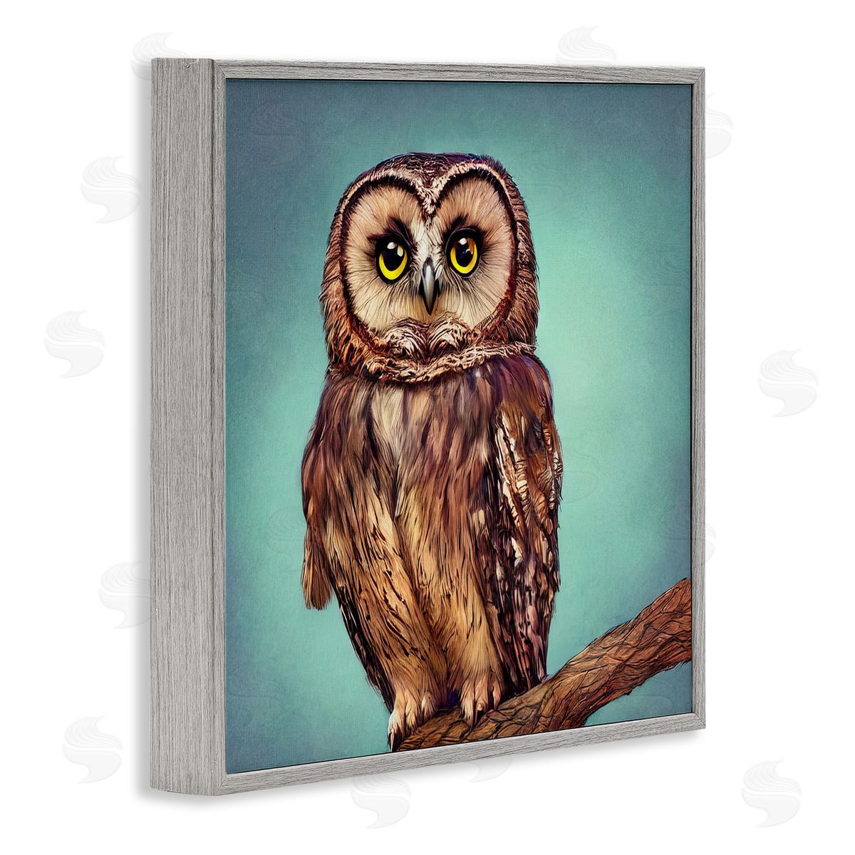 Alpenglow Workshop Beautiful Owl Wildlife Portrait Gray Framed Glicee Wall Art Print