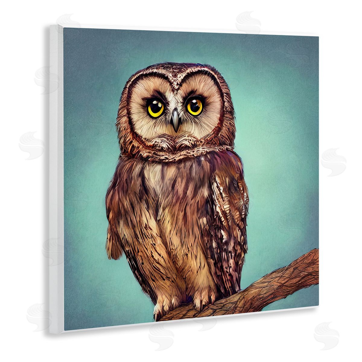 Alpenglow Workshop Beautiful Owl Wildlife Portrait Wooden Wall Plaque Art Print