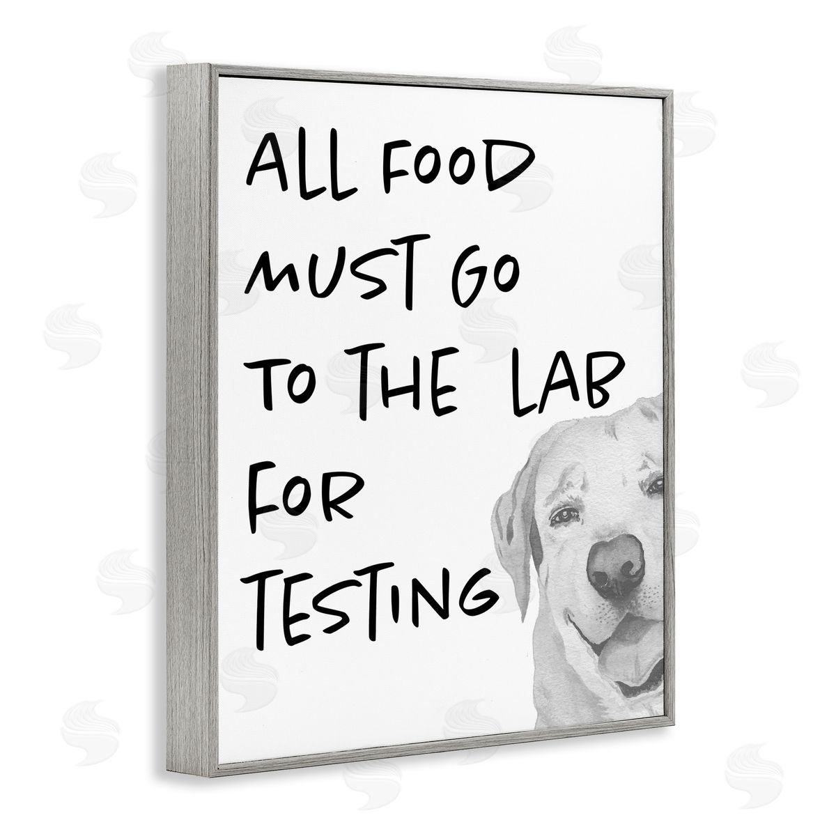 Elizabeth Medley Food To Lab For Testing Funny Dog