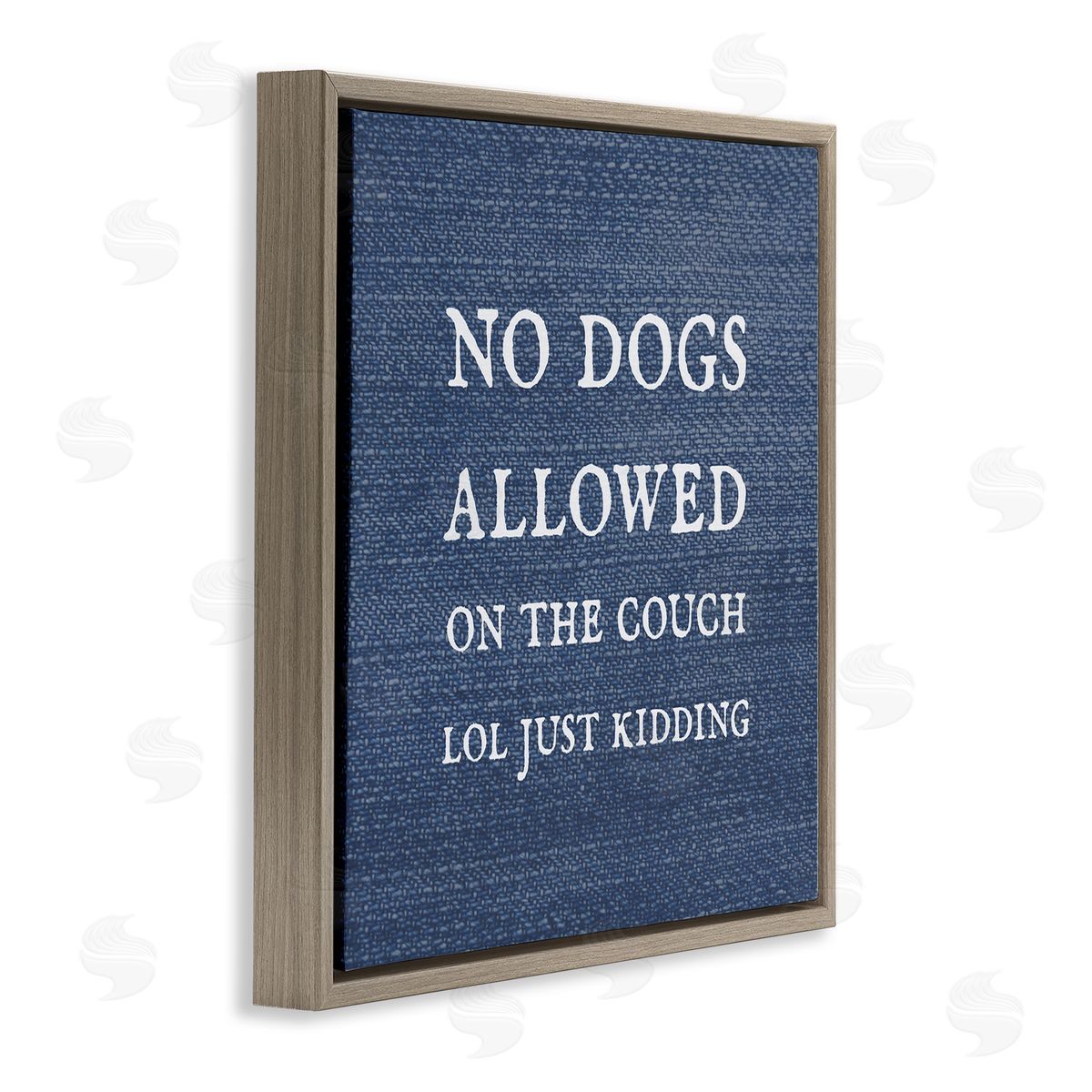 Stupell Studio No Dogs Allowed Just Kidding Funny Pet Brown Floating Frame Canvas Wall Art Print