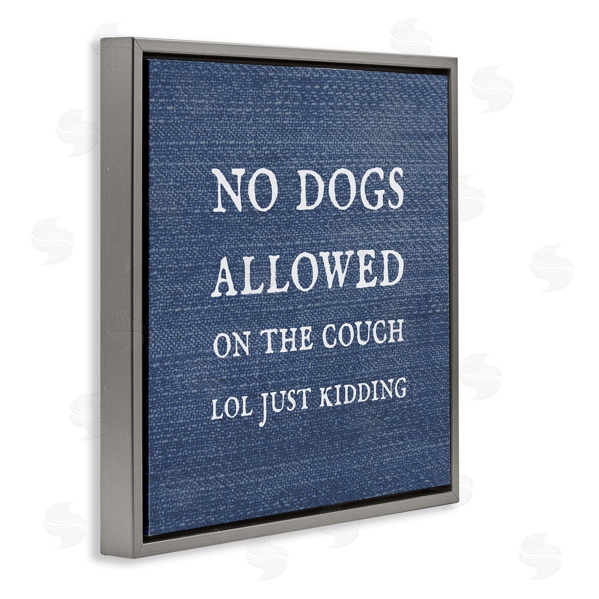 Stupell Studio No Dogs Allowed Just Kidding Funny Pet Gray Floating Frame Canvas Wall Art Print