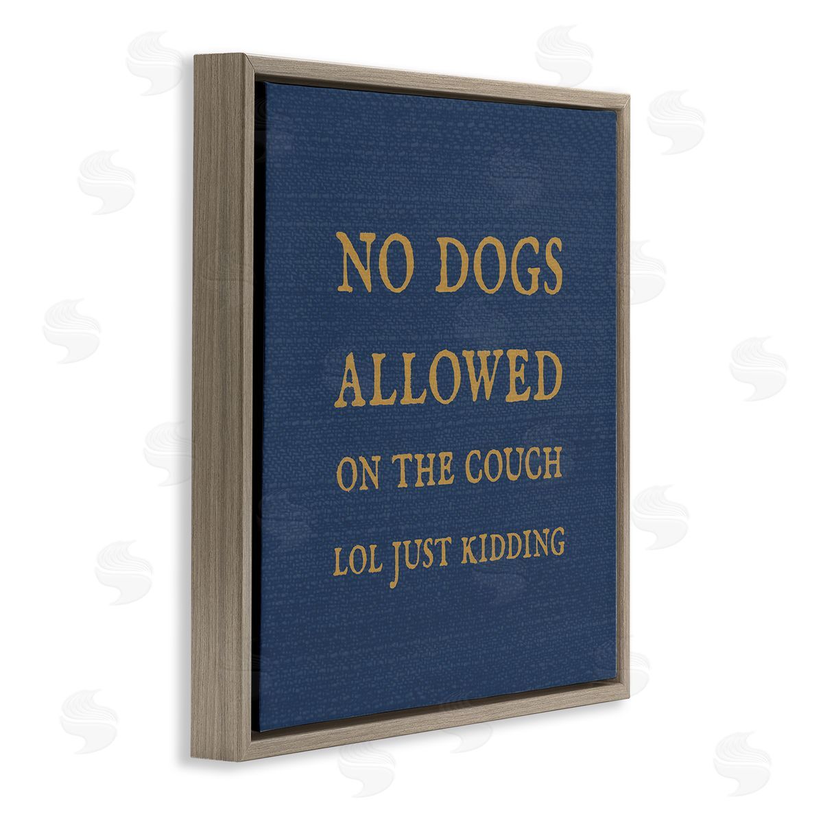 Stupell Studio Funny No Dogs Allowed Pet Phrase Brown Floating Frame Canvas Wall Art Print