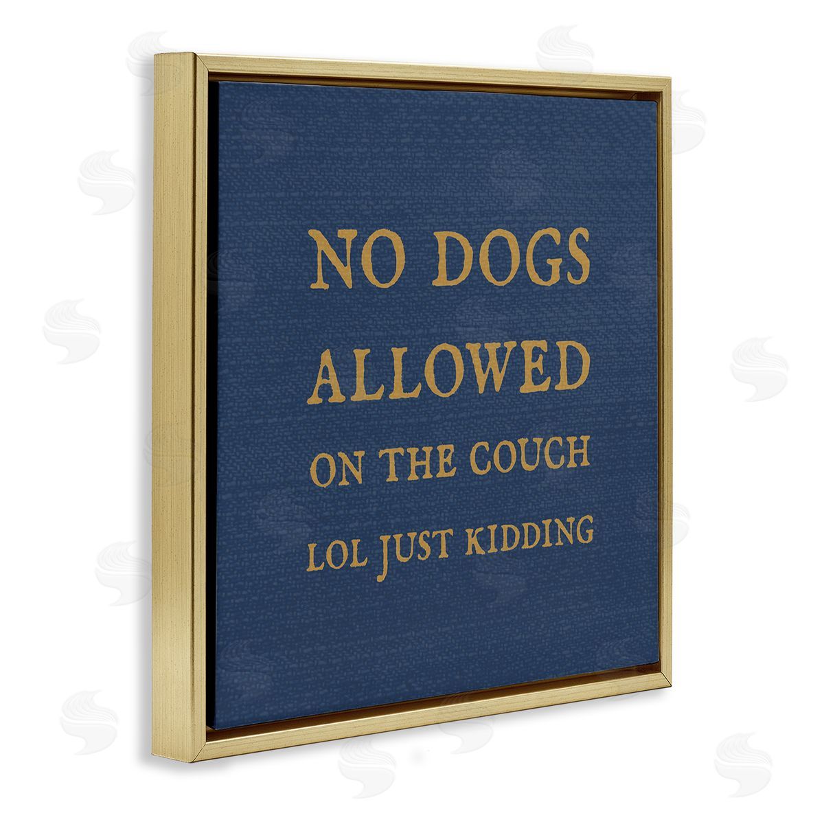 Stupell Studio Funny No Dogs Allowed Pet Phrase Gold Floating Frame Canvas Wall Art Print