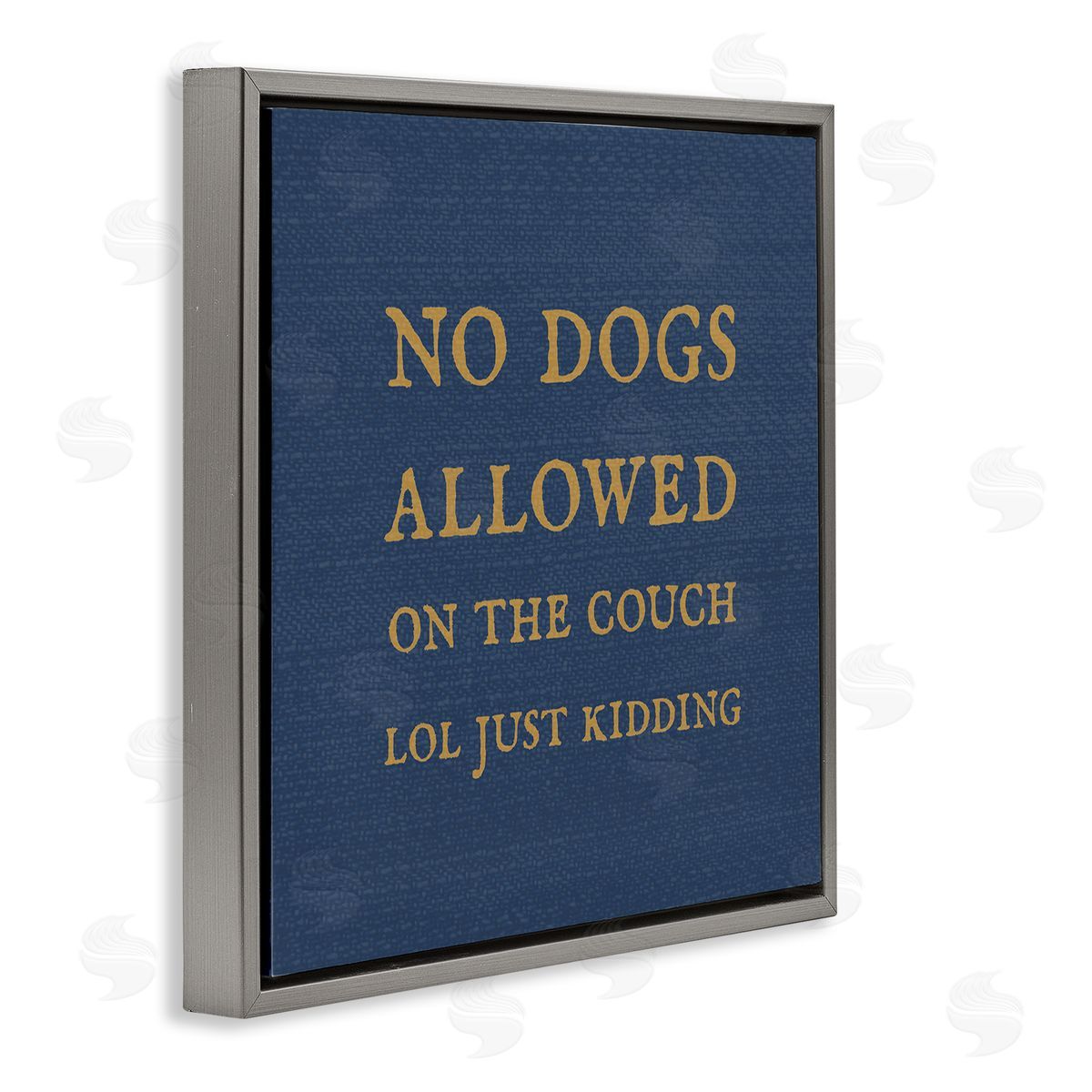 Stupell Studio Funny No Dogs Allowed Pet Phrase Gray Floating Frame Canvas Wall Art Print