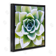Irena Orlov | Green Succulent Nature Close Up