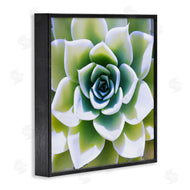 Irena Orlov | Green Succulent Nature Close Up