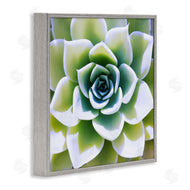 Irena Orlov | Green Succulent Nature Close Up
