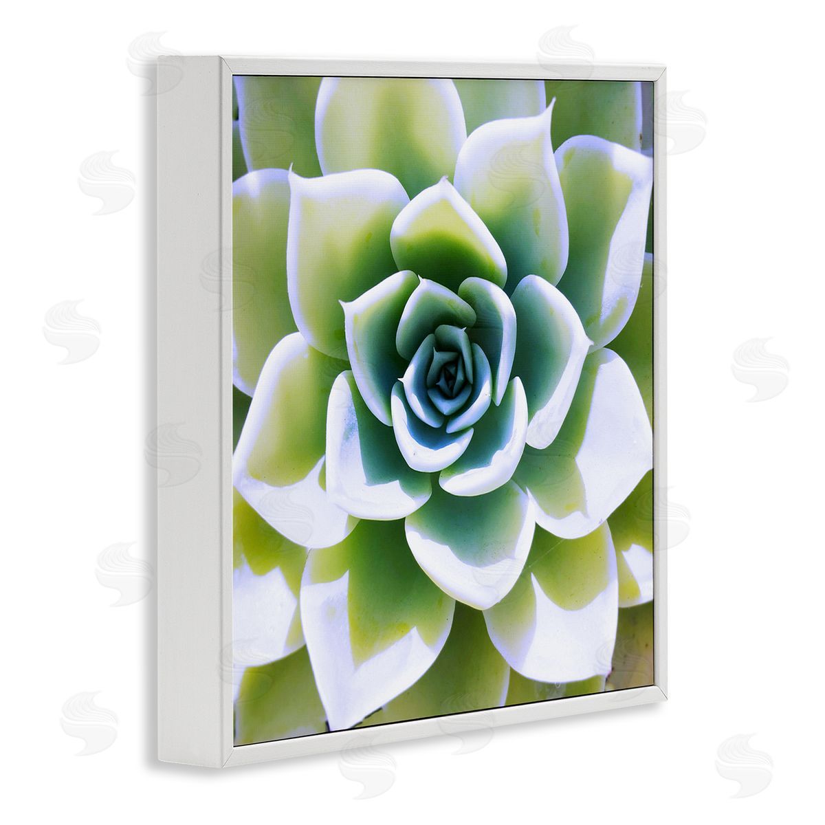 Green Succulent Nature Close Up White Frame Print Wall Art, Home Decor by Irena Orlov