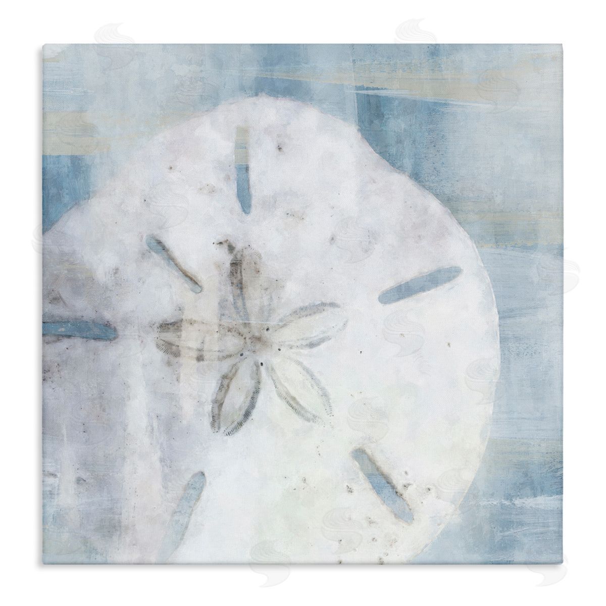 Pastel Blue Sand Dollar Seashell Canvas Wall Art, Home Decor by Nina Blue