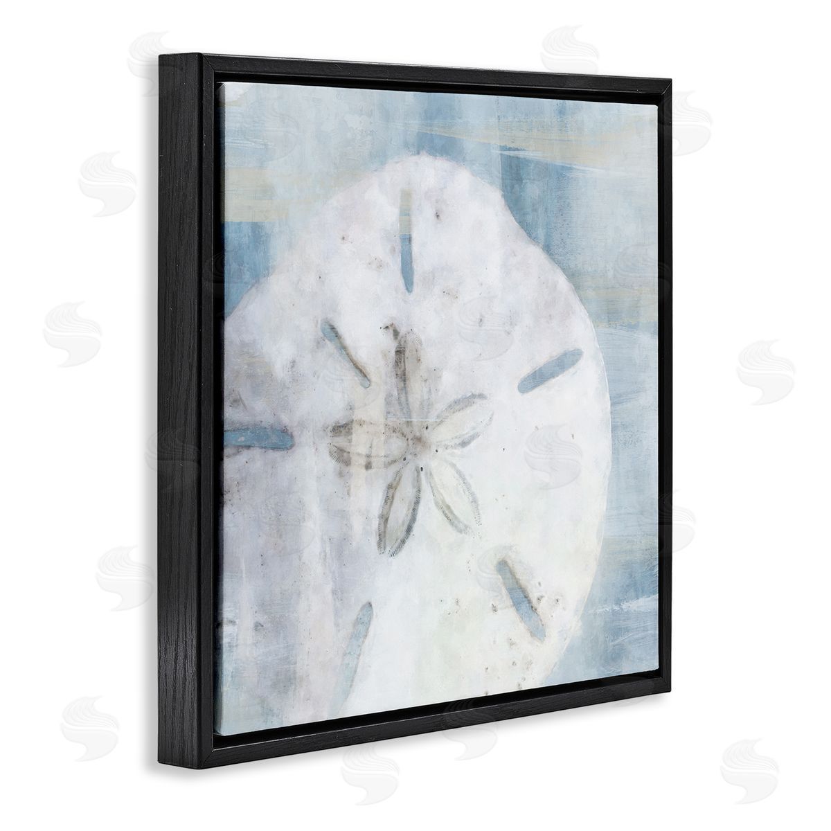 Pastel Blue Sand Dollar Seashell Black Floating Frame Canvas Wall Art, Home Decor by Nina Blue