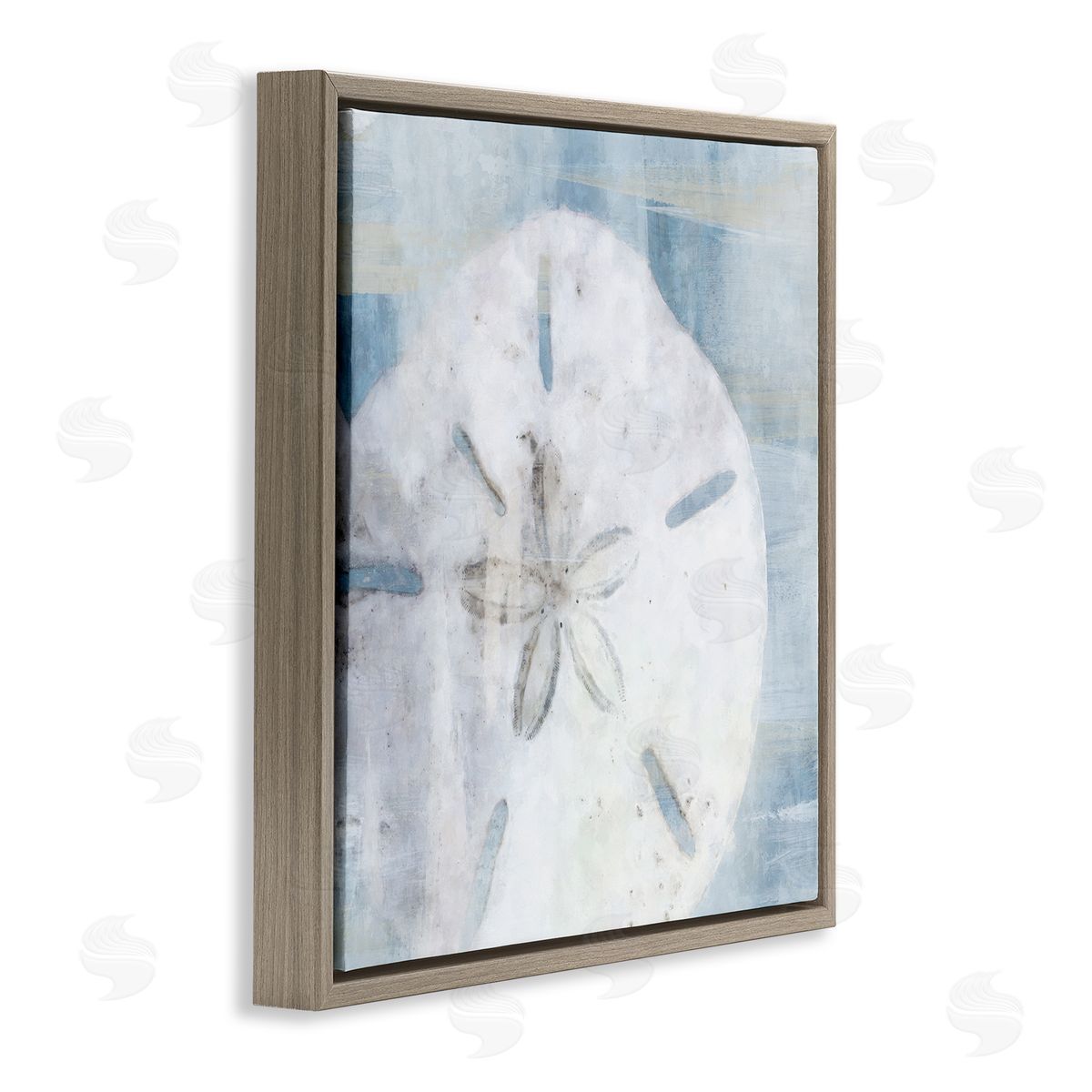 Pastel Blue Sand Dollar Seashell Brown Floating Frame Canvas Wall Art, Home Decor by Nina Blue