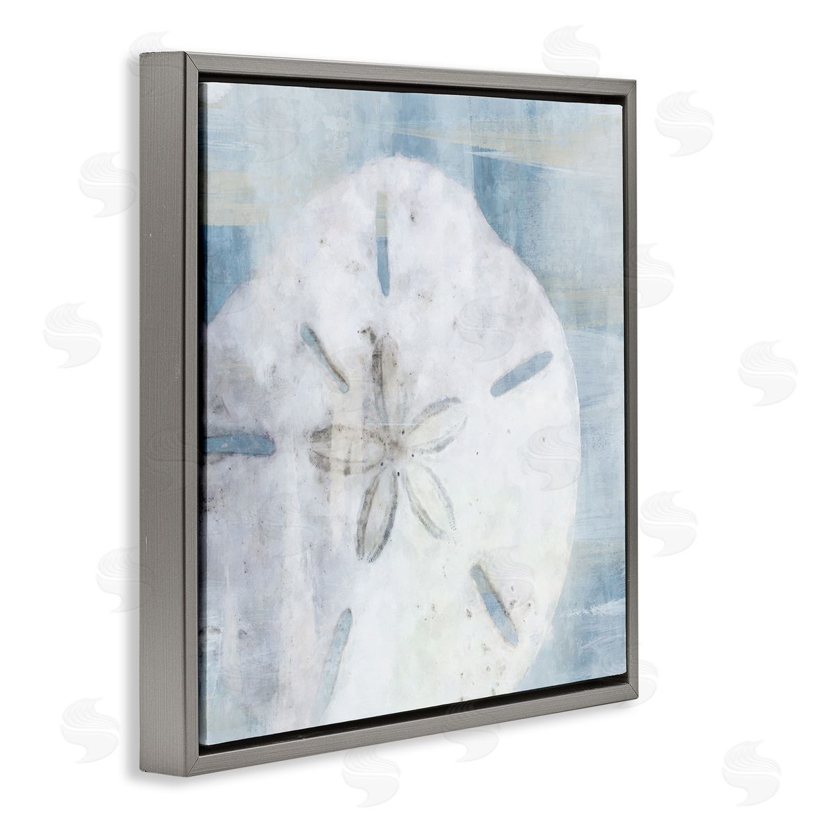 Pastel Blue Sand Dollar Seashell Grey Floating Frame Canvas Wall Art, Home Decor by Nina Blue